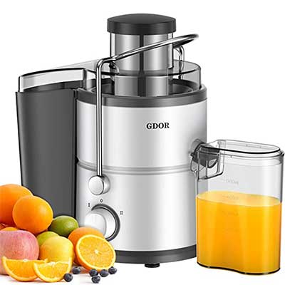 Commercial juicer